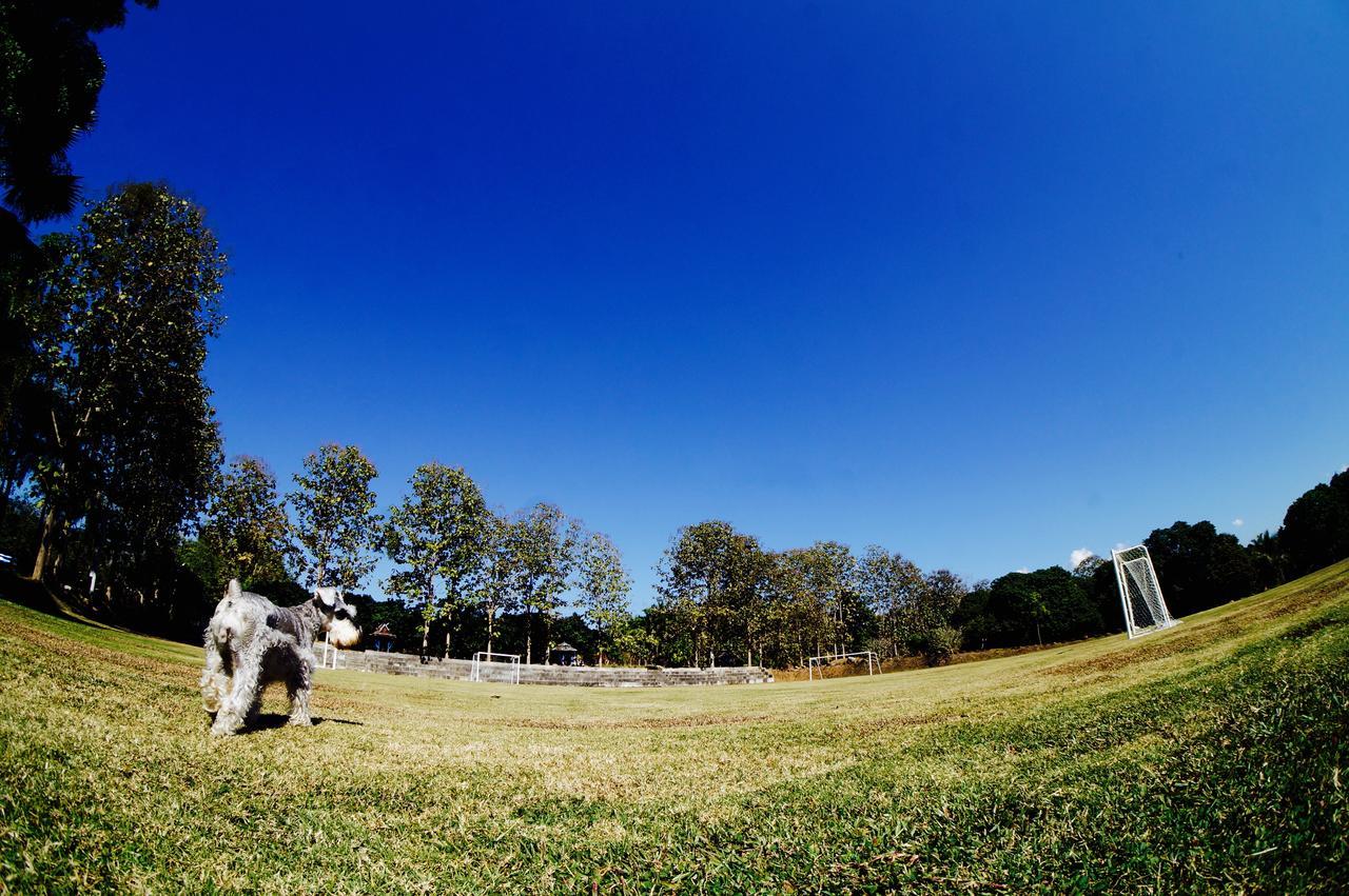 The Teak Resort Chiangdao Chiang Dao Exterior foto
